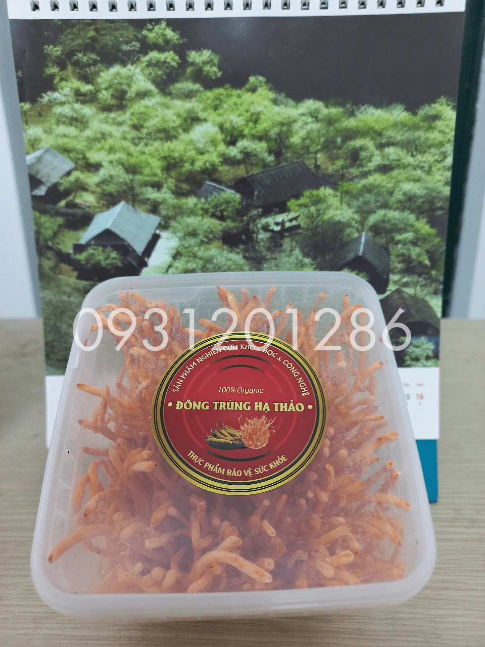 Đông trùng hạ thảo tươi Viện Hàn lâm